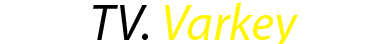 writer-1